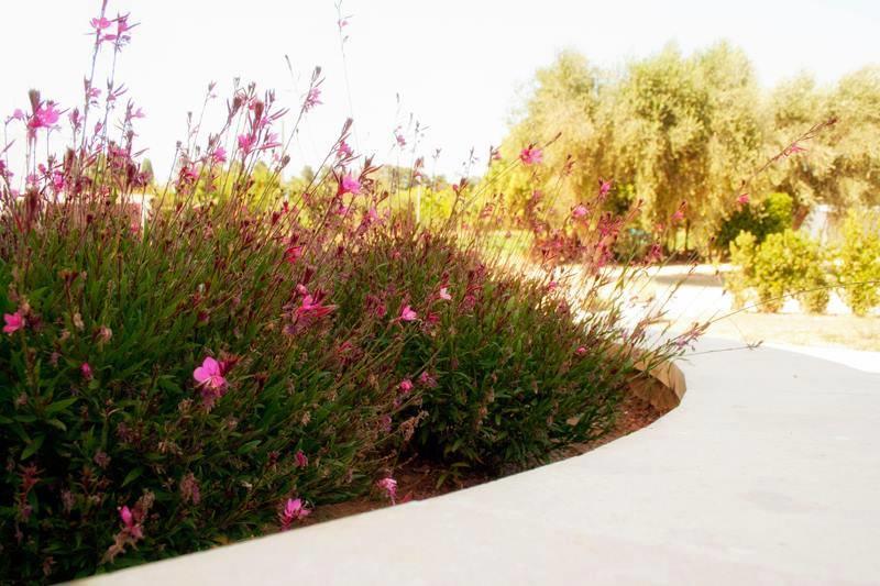 Agriturismo Fontanelle Otranto Luaran gambar